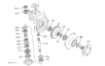 PictureAltAttribute - T043057340-jpg